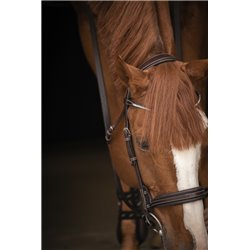 Bridon PENELOPE "Daily Strass" 2