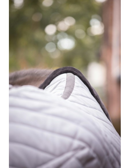 Couverture d'?curie PADDOCK - Diagonal