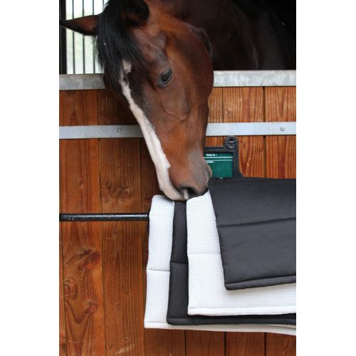 Sous-bandages PENELOPE "Bamboudry" 2