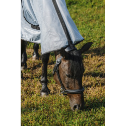 Chemise RIDING WORLD - Belly Mesh - Combo 2