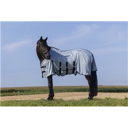 Chemise RIDING WORLD - Belly Mesh 2