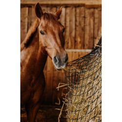 Filet ? foin HIPPOTONIC - Rectangle 2