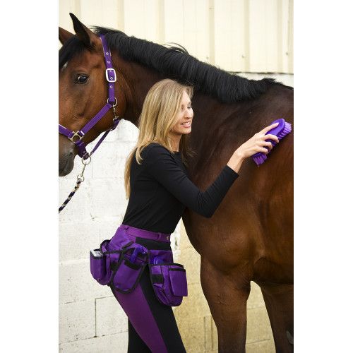 Ceinture de pansage EQUITH?ME