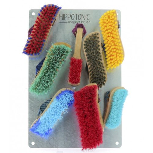 Plaque HIPPOTONIC "Magnet Brush" 2