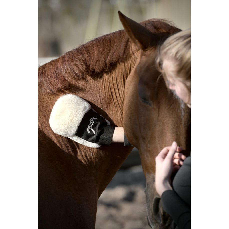 Gant de pansage PENELOPE