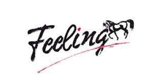 FEELING
